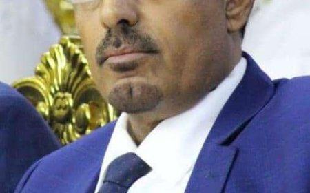 بن ماضي يوجه بإيقاف تصدير 6 أنواع من الأسماك الطازجة