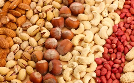 طبيب سعودي يكشف عن نوع من المكسرات الذي يعتبر مخزن للفيتامينات