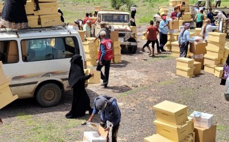 لجنة الصليب الأحمر: النزاع والتغير المناخي يهددان إنتاج العسل في اليمن