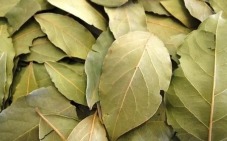 اليك هذه الطريقة لحل مشكلة النسيان للأبد وستصبح ذاكرتك أقوى 10 مرات