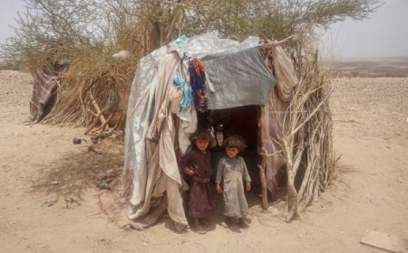 الأمم المتحدة تعلن 80% من النازحين باليمن أطفال ونساء