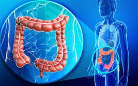 لا للامساك والغازات المزعجة كيف نحافظ على “القولون” سليماً ونظيفاً