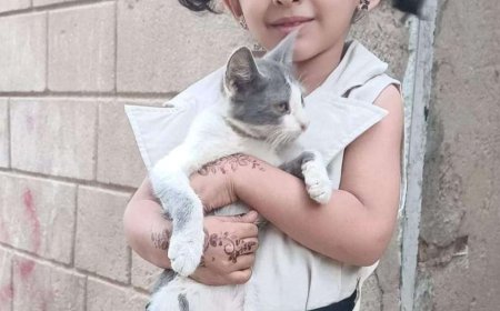 بعد الخلاف بينهم الطفلة فطوم تسامح القطة التي اكلت عصافيرها