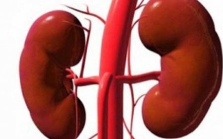 الصحة السعودية تحذر من منتج منتشر يؤدي لفشل كلوي وفقدان البصر وسكتة قلبية قاتلة