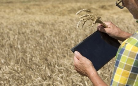 ارتفاع أسعار القمح بعد إعلان روسيا توقف اتفاق الحبوب