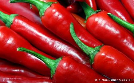 طبيب سعودي يكشف مفاجأة عن أشهر دراسة تتعلق بالأشخاص الذين يتناولون الفلفل الحار