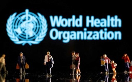 الصحة العالمية تحذر  من خطر الإصابة بفيروس حمى الضنك