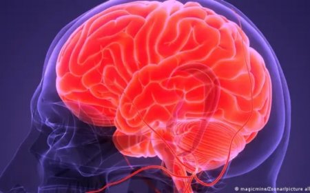 نصائح للحفاظ على دماغ سليم مع التقدم في العمر