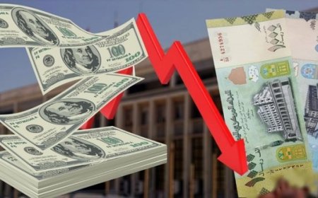 أسعار العملات امام الريال اليمني اليوم الاثنين