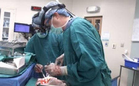 فرط نشاط الغدة الدرقية توثر على  نبضات القلب