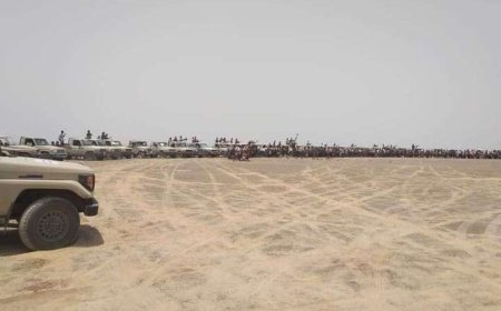 توتر بين قبائل الصبيحة وقوات طارق في باب المندب