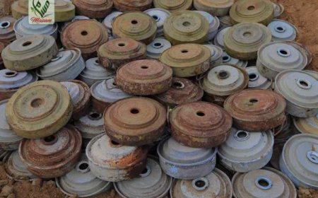 مسام يعلن نزع 625 لغما وذخيرة حوثية خلال أسبوع