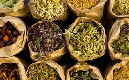 استشارية سعودية تكشف مفاجأه يشأن إعطاء الأعشاب للأطفال حديثي الولادة