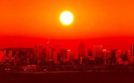 احتل المرتبة الأولى: 2023 العام الأشد حرارة على الإطلاق