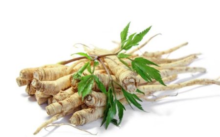 ماهي ” الوصفة التي أدهشت الأطباء"التى تعمل على تقوية الذاكرة و تعيد شبابك في فترة قصيرة