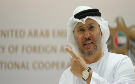 قرقاش: الإمارات تسمو فوق منطق القيل والقال