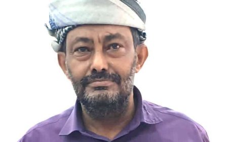 برلماني: المقاومة الشعبية هي الخيار الأمثل والوحيد للحفاظ على المكتسبات الوطنية