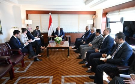 العليمي يبحث مع ليندر كينغ ومسؤولين أوروبيين جهود إحياء مسار السلام باليمن