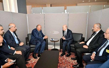 العليمي يشيد بالتسهيلات الأخيرة للمقيمين والوافدين اليمنيين الى الأراضي المصرية