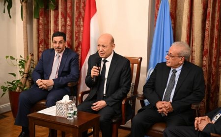 العليمي: تحويلات المغتربين تسهم في إطعام ملايين اليمنيين في الداخل