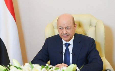 العليمي يوجه الحكومة بمعالجة قضية عادل الشجاع وإيقاف ترحيله من مصر