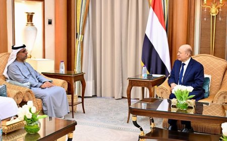 اليمن والإمارات يبحثان الوضع في فلسطين وتأثيره على الأمن الدولي