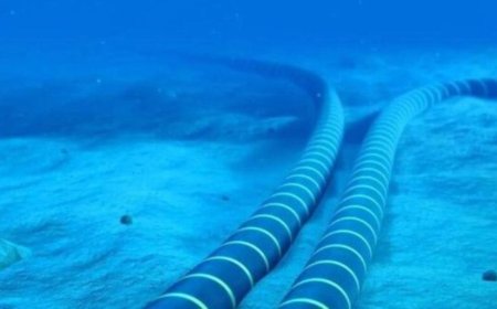 جوجل وتشيلي تعتزمان بناء كابل ألياف بصرية عابر للقارات ‏تحت الماء