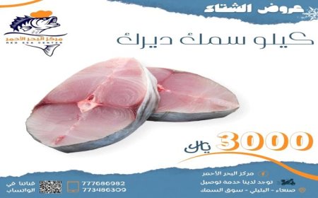 أسعار الأسماك في صنعاء كيلو الديرك بثلاثة ألف ريال