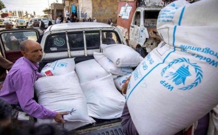 الحكومة: هجمات الحوثيين تنذر باختناقات حادة في الغذاء والسلع