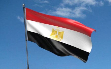 مصر تعبر عن قلقها من تصاعد الصراع في البحر الأحمر