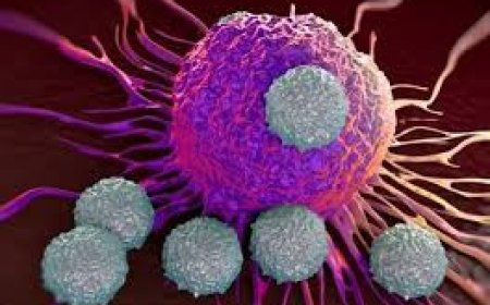 تحذير من مرض معد يسجل حالات مرتفعة في جميع أنحاء العالم