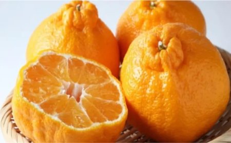 اليوسفي: درع واقي ضد نزلات البرد