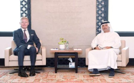 غروندبرغ يبحث مع أنور قرقاش اهمية توفير بيئة مواتية للحوار البناء في اليمن