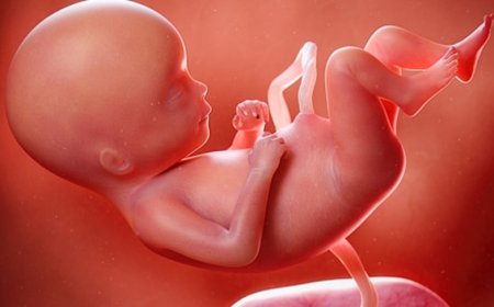 أمل جديد يتحقق.. نجاح عملية الحقن المجهري بعد ثماني سنوات من الانتظار