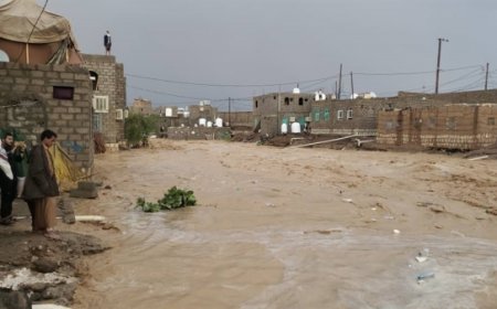 الأمم المتحدة: نحو 600 ألف يمني تضرروا بسبب الأمطار والفيضانات عام 2023