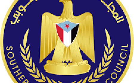 ‏المجلس الانتقالي يدعو إلى التسريع في تفعيل الجهاز المركزي للرقابة والمحاسبة لمكافحة الفساد