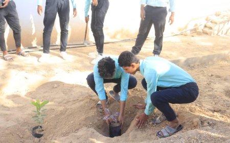 هيئة حماية البيئة بوادي حضرموت تحتفي باليوم الوطني للبيئة بمديرية سيئون