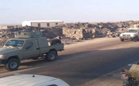وصول تعزيزات خاصة بقوات درع الوطن إلى عدن