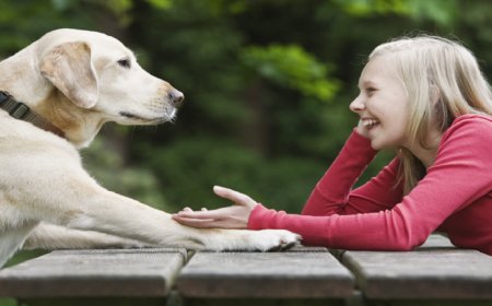 الذكاء الاصطناعي على أعتاب اختراق قد يسمح للناس والحيوانات بالتحدث معا