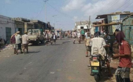 أبين.. حاول فض النزاع بين جيرانه ولقي مصرعه برصاصهم