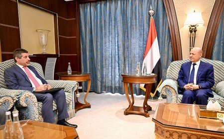 العليمي: دعم الحكومة هو السبيل لوقف مغامرات المليشيات على الصعيدين الوطني والاقليمي