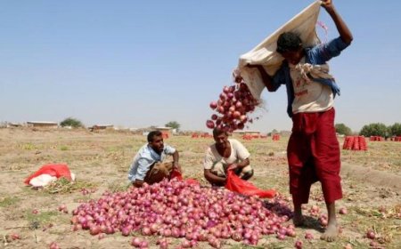 قرارات لتشجيع المحاصيل الزراعية لمواجهة زحف القات