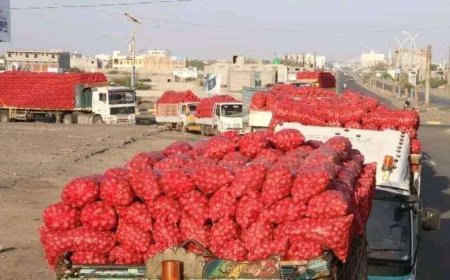 تصدير أول شحنة من البصل عبر ميناء المخا إلى هذه الدولة