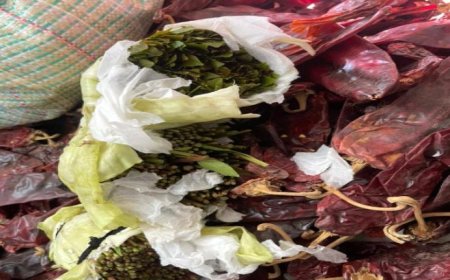 احباط عملية تهريب كمية كبيرة من القات في مطار عدن