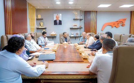 وزير الدولة يناقش مع صندوق تنمية المهارات آليات تعزيز وتطوير العمل وتنظيم برامج نوعية