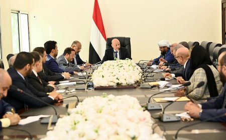 العليمي يكشف عن الخيار الأكثر فاعلية لتأمين الموانيء والسواحل اليمنية ويوجه طلبا للمجتمع الدولي