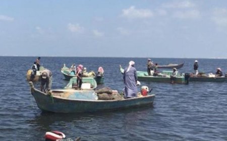 أجنبية تقوم بتجريف الأسماك قبالة عدن والحديدة