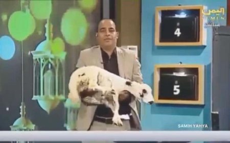 أول توضيح لمذيع قناة اليمن عقب تقديمه خروف وموز كجوائز