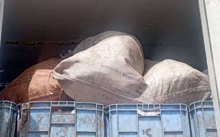 إحباط عملية تهريب أسماك في عدن