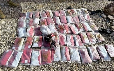 نقطة أمنية في شبوة تعلن ضبط 60 كيلو حشيش